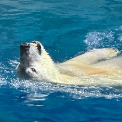 hfc00018195180's profile picture. fanart