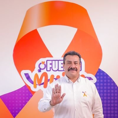 LicUbaldoSCH's profile picture. 