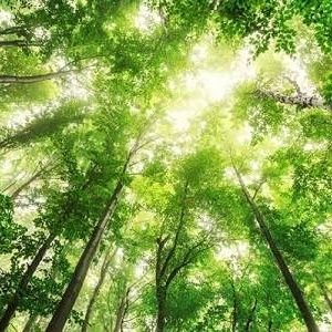 jose83207336343's profile picture. 