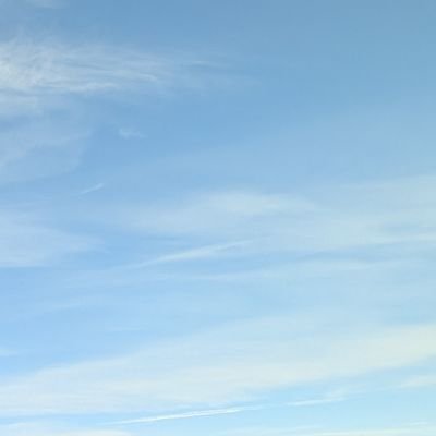 AttleeStan2004's profile picture. 21 gay