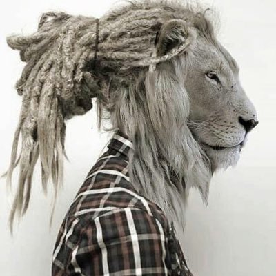 yunjinstanacct's profile picture. 21 the streamer dude’s other account🦭 MY MAIN:@yeaitstrill #CK4L #CAMARMY #YIA #FEARNOT #lakeshow pfp: @mi_08215