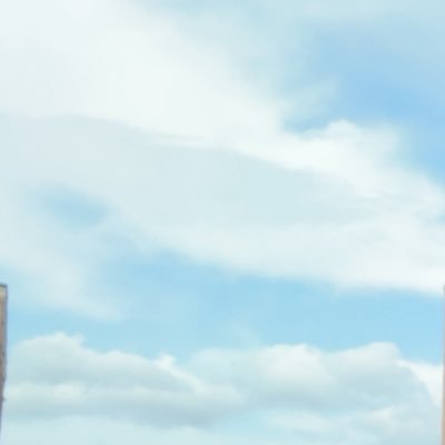 bitsybby's profile picture. 