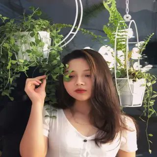 ltsdfxq59's profile picture. 