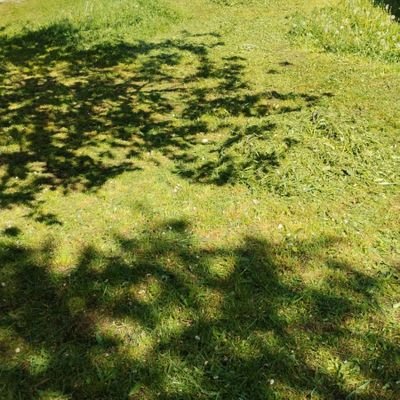 Lorys28_6's profile picture. 