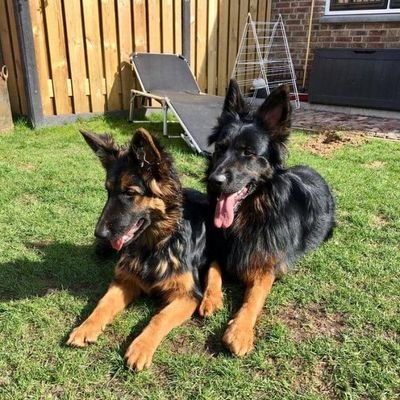 nelsontony636's profile picture. I'm thinking