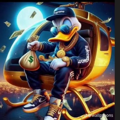 BrunoHenri96450's profile picture. 