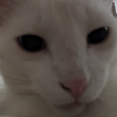 Namndas's profile picture. •° i wanna learn to love