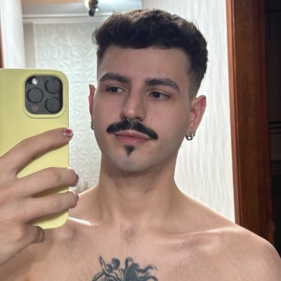 glhermeferelli's profile picture. gemini