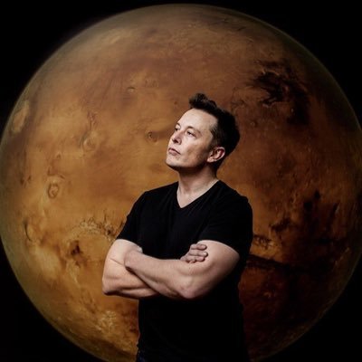 ElonClipzs's profile picture. 