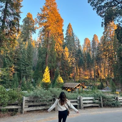 holistic_mj's profile picture. Natural living 🌞 || Movement 🏋🏾‍♀️ || Mother Nature 🌊 Truth seeker. Born & raised in South America 🇵🇪