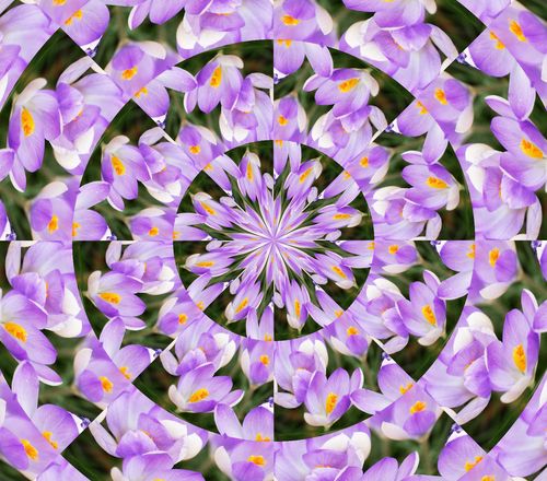 laura_floral's profile picture. Pinterest fan, Oprah fan, ceiling fan.