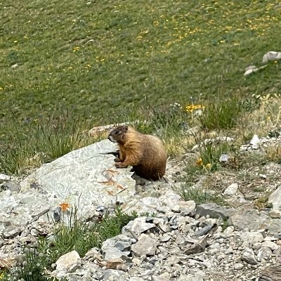 chryll___'s profile picture. 