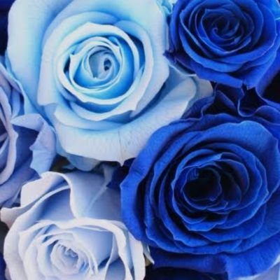 kyoritan0721's profile picture. 生涯の師、加藤先生に『真理』を学んでいます。日常の在り方を先生のご指導のお言葉にあてはめ、行動に繋げ、魂の向上を目指しております。