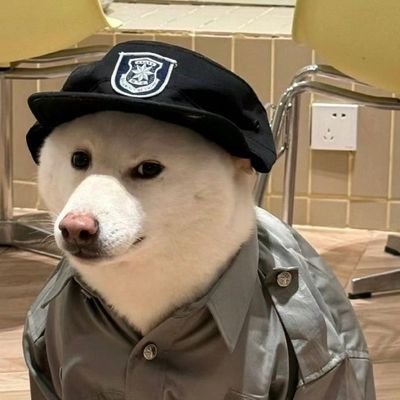 kedayaaici's profile picture. 能不能来个超级无敌你妈了隔壁螺旋升天的叙事（我能看懂且我异常fomo）然后我不卖 直接干到nmb10m 然后我睡着了马斯克疯狂喊单 特朗普直接把ca挂白宫门口 然后上福布斯首页紧接着马斯克直接把他刻火箭上 噌的一下上天了