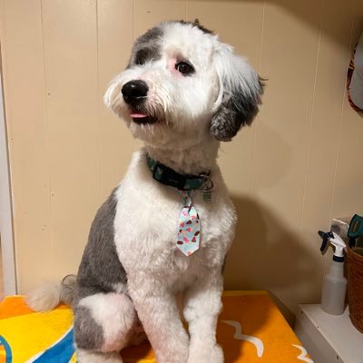 BostonGV's profile picture. Jesus Is My Lord & Savior. I love Sports & Married with 3 wonderful kids. Boston Bruins are my favorite Team. @BostonGV