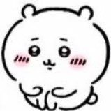 cc0ton's profile picture. キラキラできないアラサーOL🦭