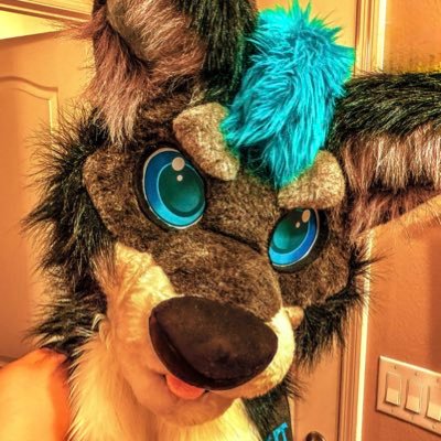 Infl89c's profile picture. 🏳️‍🌈 | 36 | Inflatable Collector | ✈️ Aviation