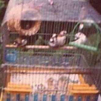 tehqudtvwmswy3u's profile picture. Xアカウント@muromavでつぶやいた内容をGrokでまとめたものIPします。著書「金魚すくいは金魚にとって救いにならない」 https://t.co/zBf2bzGQ5h   も発売中。くわしくはhttps://t.co/k5CW6tMgOr