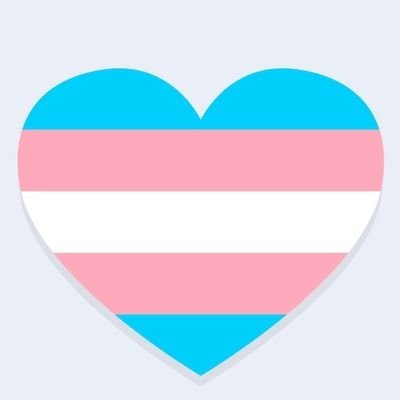 _otokonoko_suki's profile picture. いるるるるるんはtrans womanを応援中💕🏳️‍⚧️💕
trans womanは女性💕🏳️‍⚧️💕
天安门事件