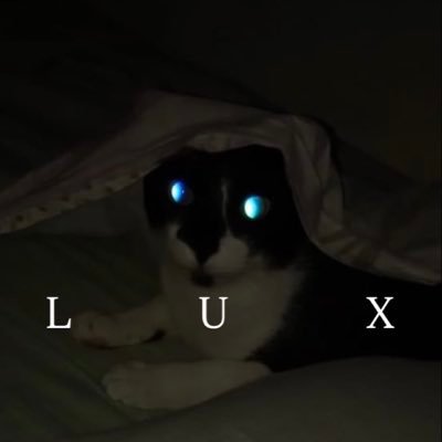 mcgarrafy's profile picture. dead dove: do not eat | sou a minha própria marlene mattos