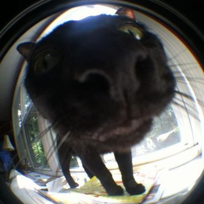 hletterdude's profile picture. i believe in dilf supremacy | 22 y.o
тгк: letterdudedraw
❗ active tiktok account: hletterdude ❗