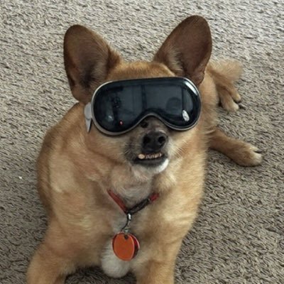 xstevezerox's profile picture. tick by tick like a psycho btc pleb since 2017