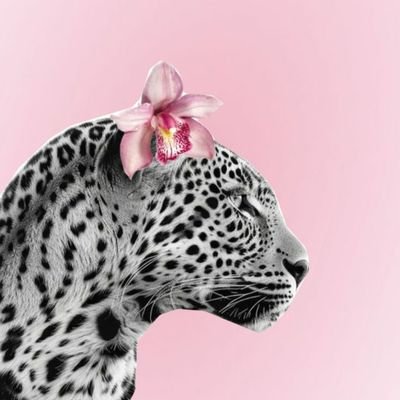 itsjuh07's profile picture. 20y🍒
God is my home 
💋  𝅄  !! 777 ◟  ๑  ❤️
  .  ☆  ۫  ♡︎