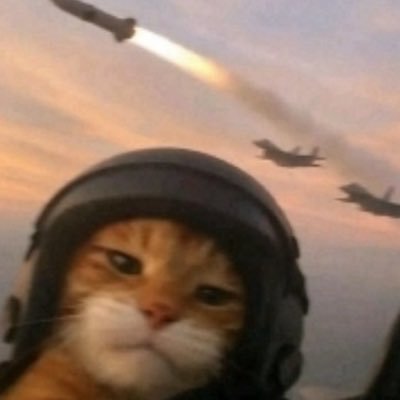 SenorNotik's profile picture. 