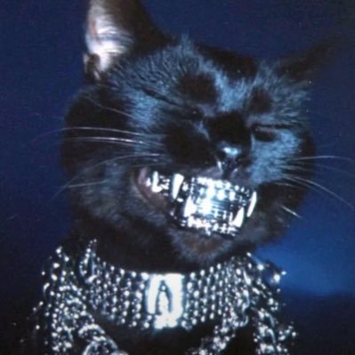 juststans1's profile picture. what’s the point in living if you don’t have a dick