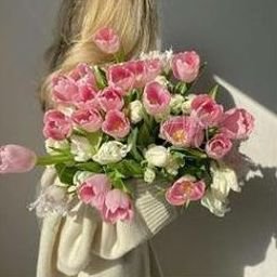 Naalsu8656839's profile picture. 