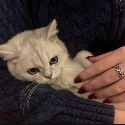 r0xni's profile picture. 