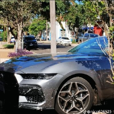 ThiagoMrqu85785's profile picture. Trato de subir spots😔👍