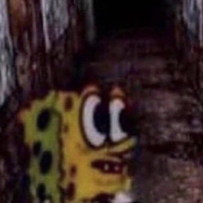 potitomojaocc's profile picture. A mojarse el potito 🐦‍⬛ • 🍆  • 🪆 • 🧱