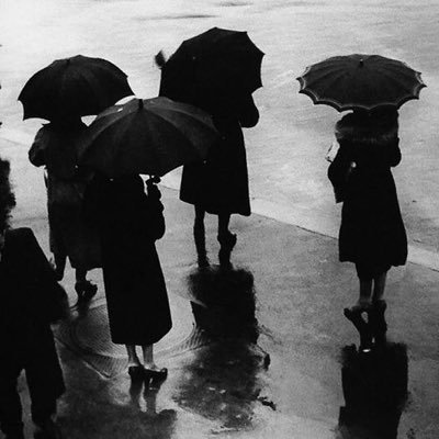 ipreconsious's profile picture. 