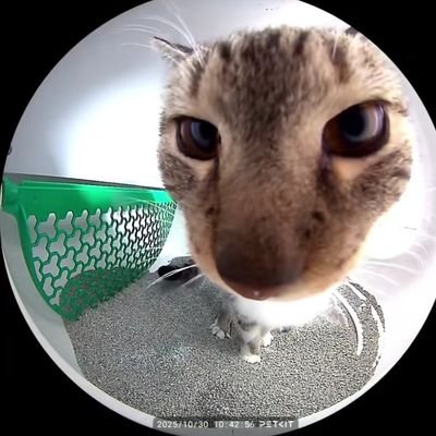 Bpd_T1tties's profile picture. stalky stalk AKA l'ex préférée de ta daronne