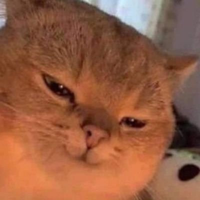 nukednoticer's profile picture. Backup for my main for when I get nuked.
I miss my Frens 😔⚡⚡