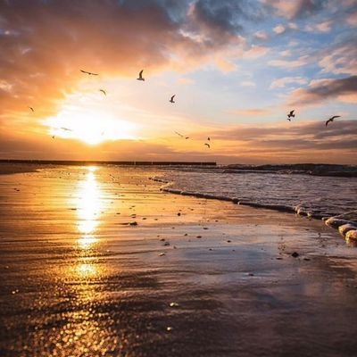 SL_Q555's profile picture. عش حياتك بلا قيود.