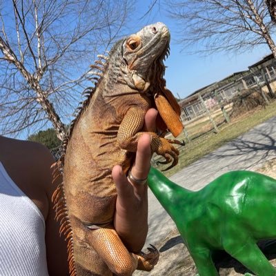 AbesExotics's profile picture. Reptile breeder 🐍 & Dog breeder 🐶 Exotic Animal Handler & Transporter