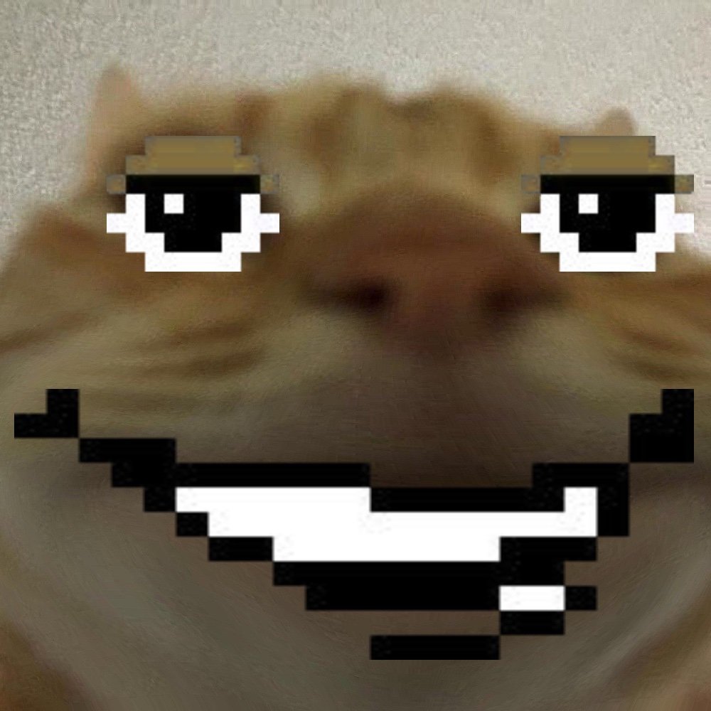 42catoid's profile picture. snarp snarp