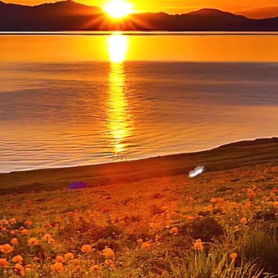 philliphollowa2's profile picture. Real men are united.

The strong stand together. MAGA Patriots! America First.