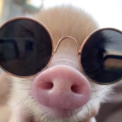 esaesmiarroba's profile picture. #PorqueGordo