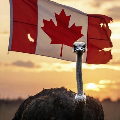 marsdegb's profile picture. BSc, MISt, PhD candidate, Education / Post-Academic Librarian/ Opinions my own  / Mom / Chicken whisperer.