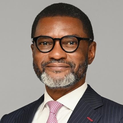 FrankNwekeII's profile picture. Chairman, Kunie Foundation. 
Chairperson, #FixPolitics Initiative.
Nigerian Minister, 2003-2007.
DG, NESG, 2009-2014.