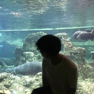 Kioto1031162's profile picture. Where the sky meets the sea.