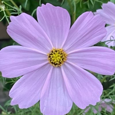 pochi_mike's profile picture. なにか立体的なものを創る仕事してます。 図面をCADで描くだけの簡単なお仕事？