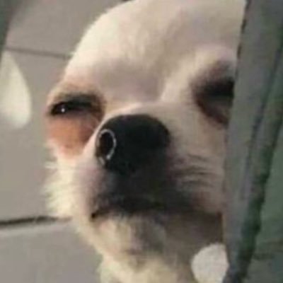 LadyBaxs's profile picture. Ellà