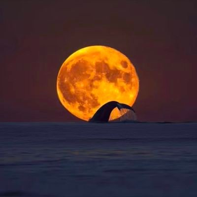 slasher97839393's profile picture. 