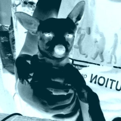 feerrchi's profile picture. 