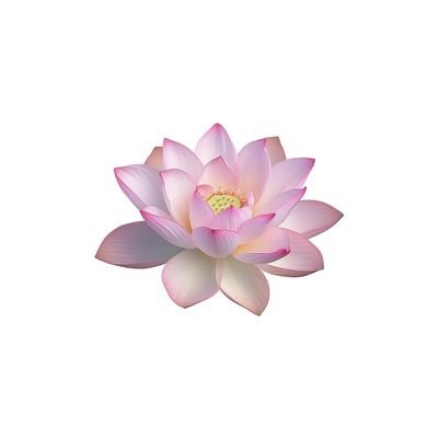 GeRQmg9c8O72302's profile picture. 🥦🥦