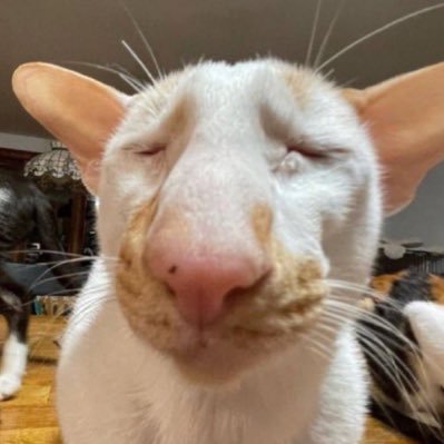 bewithjjyu's profile picture. 이미주1호팬